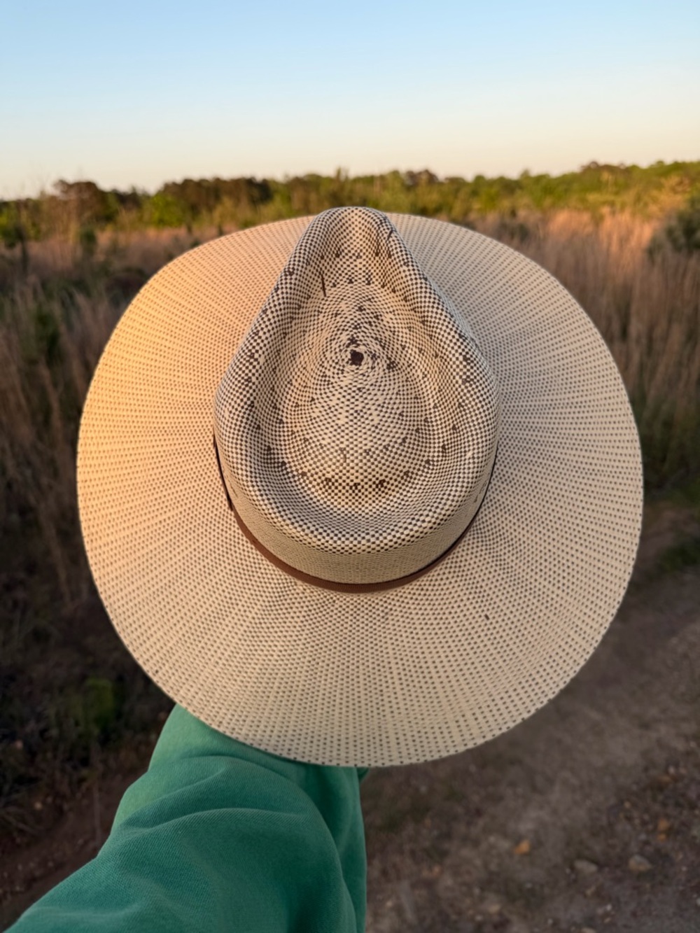 Charlie 1 Horse Straw Cowboy Hat - Picture 3 of 9